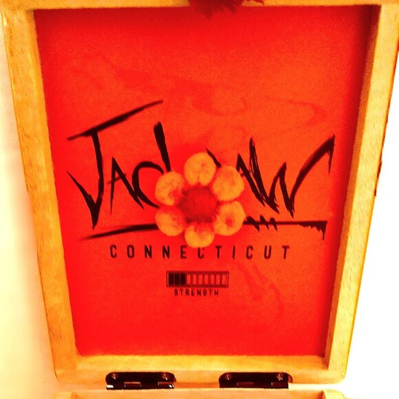 Suenos de Saundra Upcycled, EXTREMELY RARE Jack Daw Blackbird Cigar Box, Storage - Picture 9 of 11